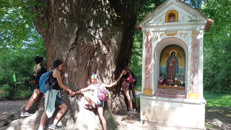 b4d401e9-68a8-414b-8ccb-16851ac019ea