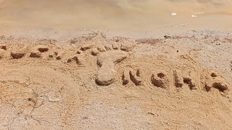 db8efaee-8392-4283-9f8c-d6cb585391ef